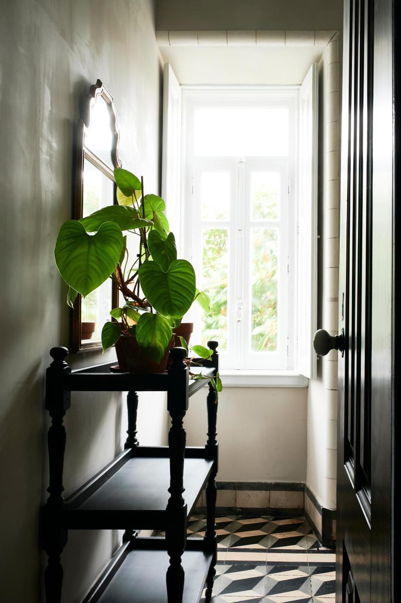 Vila Branca Guesthouse - Palacete Figueira da Foz Kültér fotó